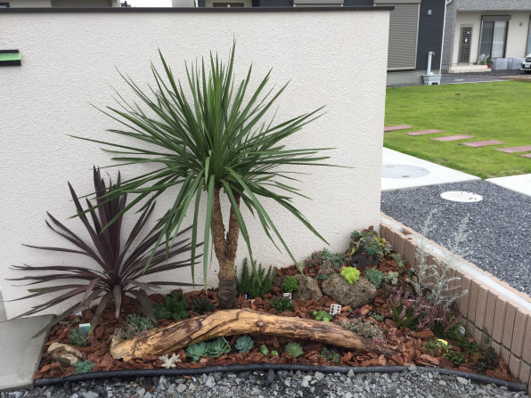 お庭の植栽ご検討ですか ファニープランツ お庭の植栽ご検討ですか ファニープランツ