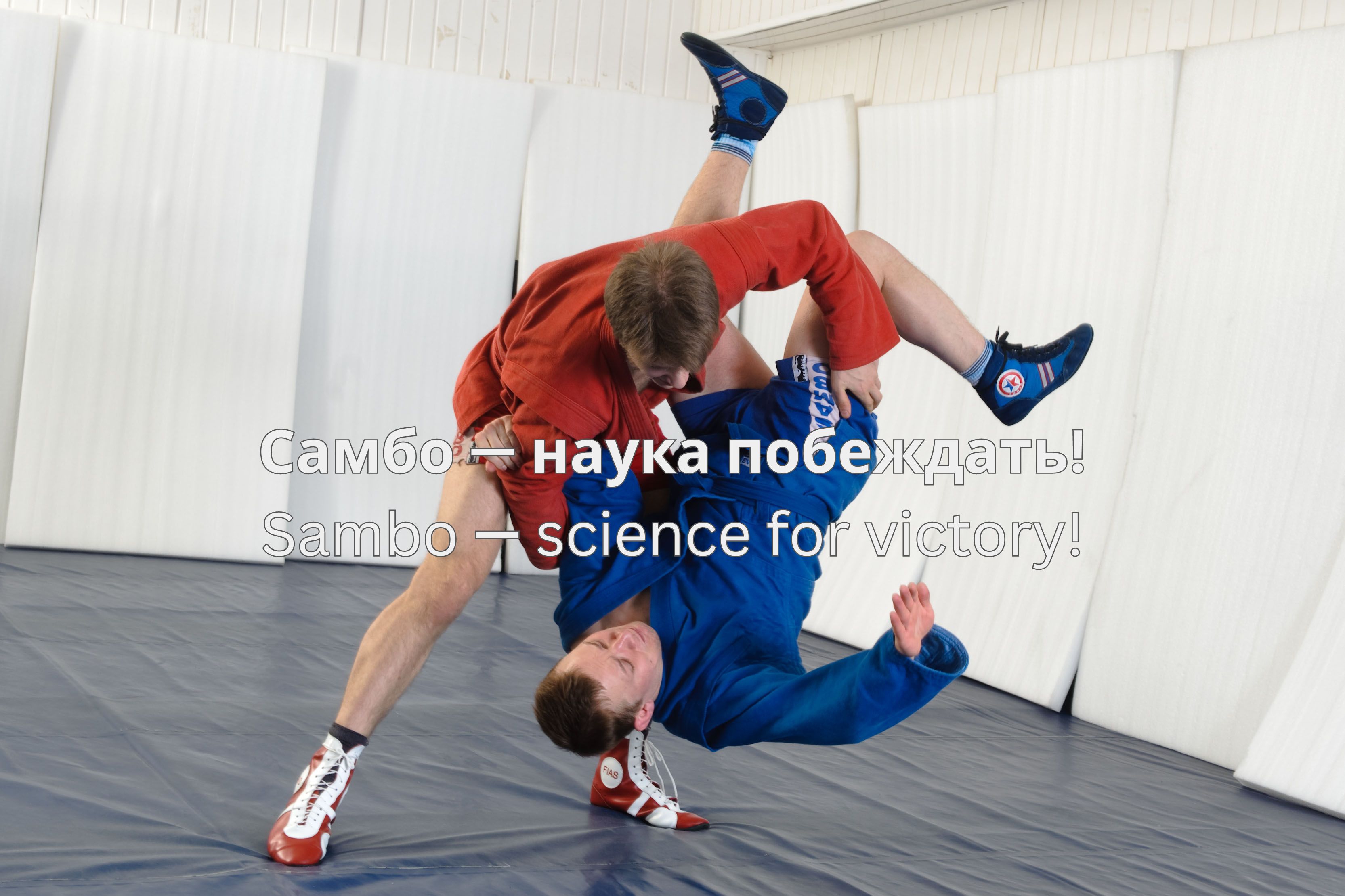 SAMBO サンボ ターゲットゲームボード 【公式通販】