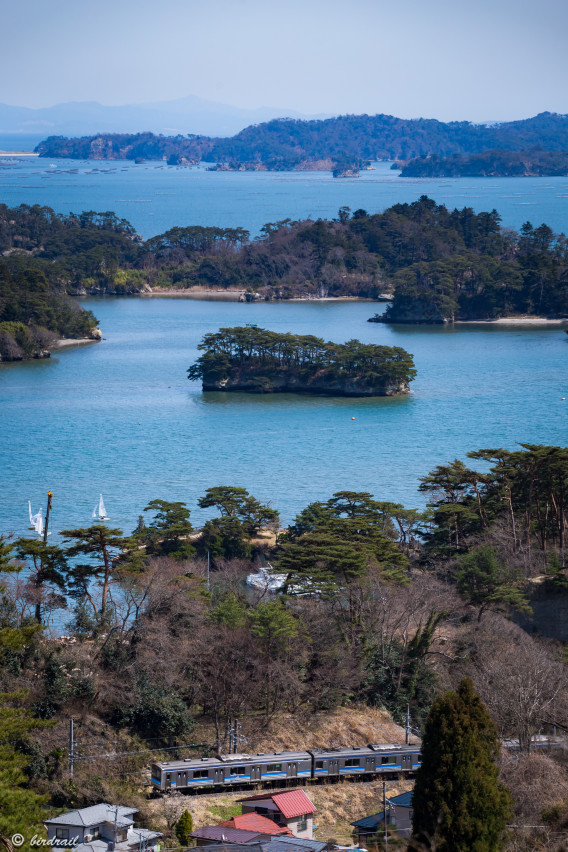 仙石線 松島海岸 陸前浜田 西行戻しの松 鳥鉄の撮影地ガイド 仙石線 松島海岸 陸前浜田 西行戻しの松 鳥鉄の撮影地ガイド