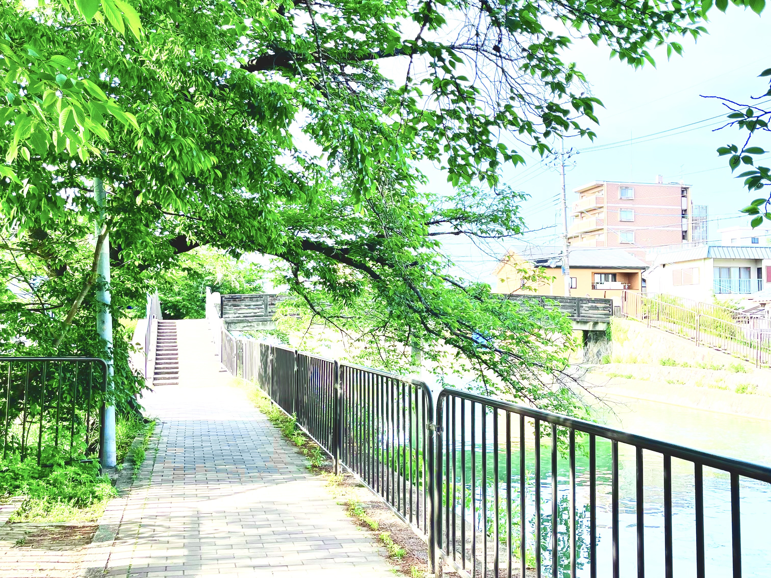 聖地巡礼】たまこまーけっと・たまこラブストーリー | 聖地巡礼案内所