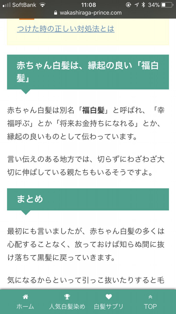 宝毛 おちびの成長life 宝毛 おちびの成長life
