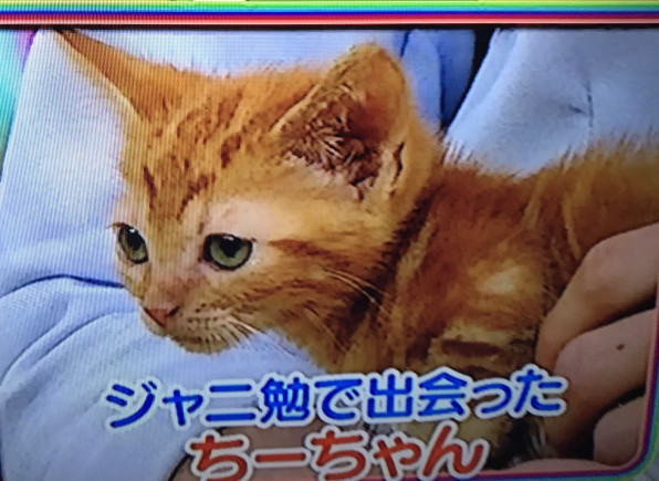 ジャニ勉 2 22 W0nderful W0rld エイターでジャスミンな日々 ジャニ勉 2 22 W0nderful W0rld エイターでジャスミンな日々