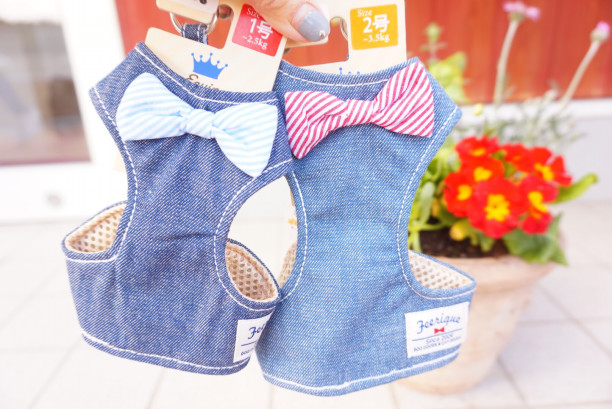 ハーネス着画 犬のトリミング ホテル グッズ販売 浜田市 メルシー