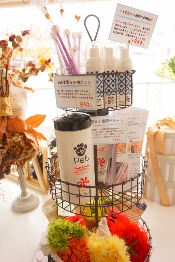 デンタルケア 犬のトリミング ホテル グッズ販売 浜田市 メルシー デンタルケア 犬のトリミング ホテル グッズ販売 浜田市 メルシー