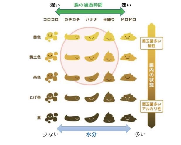 健康な便とは？ | 犬のトリミング・ホテル・グッズ販売 浜田市 メルシー