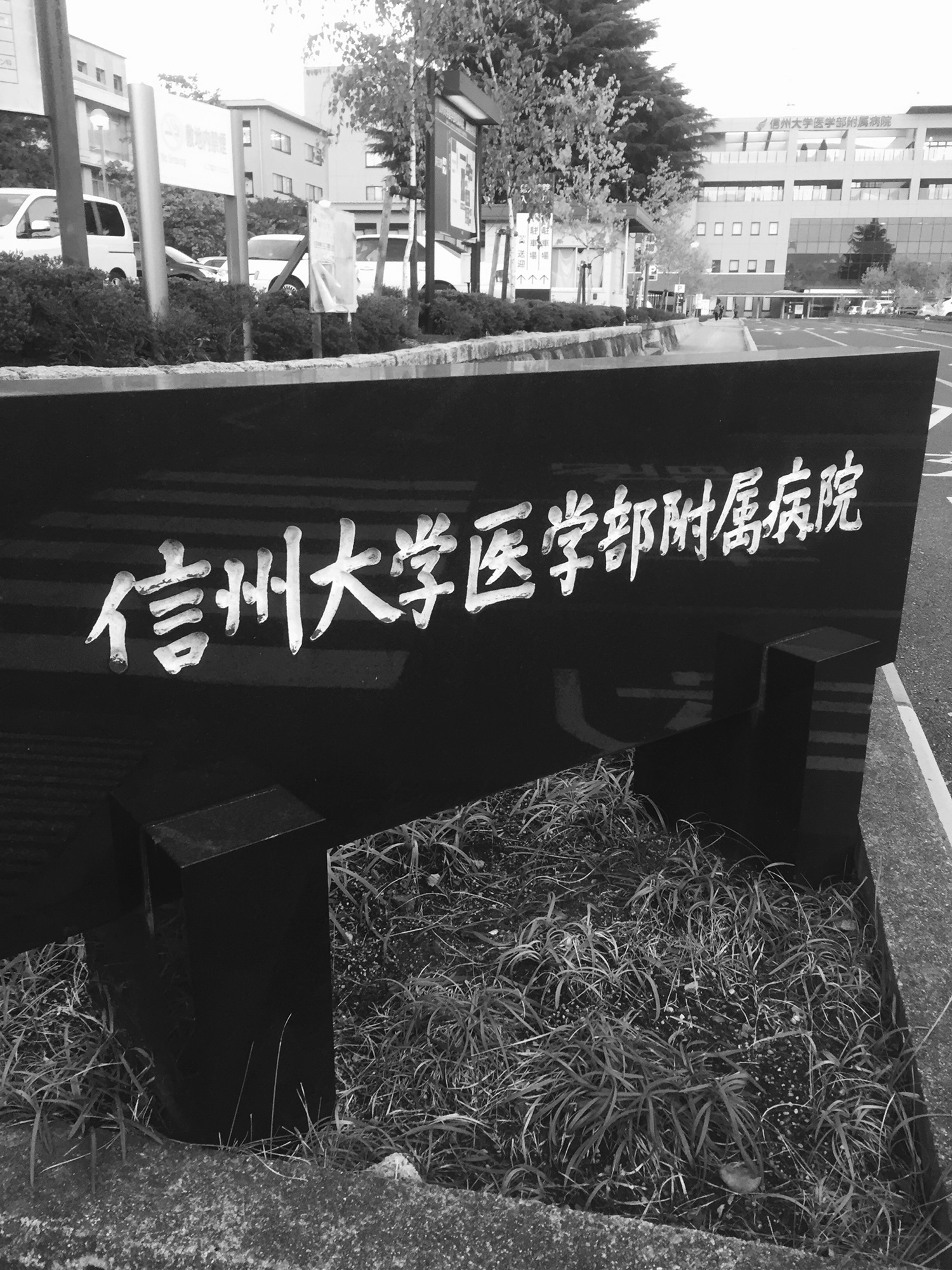 解剖実習に行ってきました。 産後骨盤スタイリスト キムシン先生のブログ 解剖実習に行ってきました。 産後骨盤スタイリスト キムシン先生のブログ