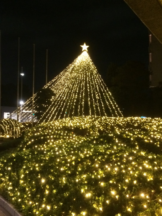 クリスマスなんて大嫌い なんちゃって Mr Peanut