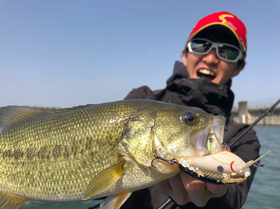 丸山ダム初アタック コジヘイの釣りノート