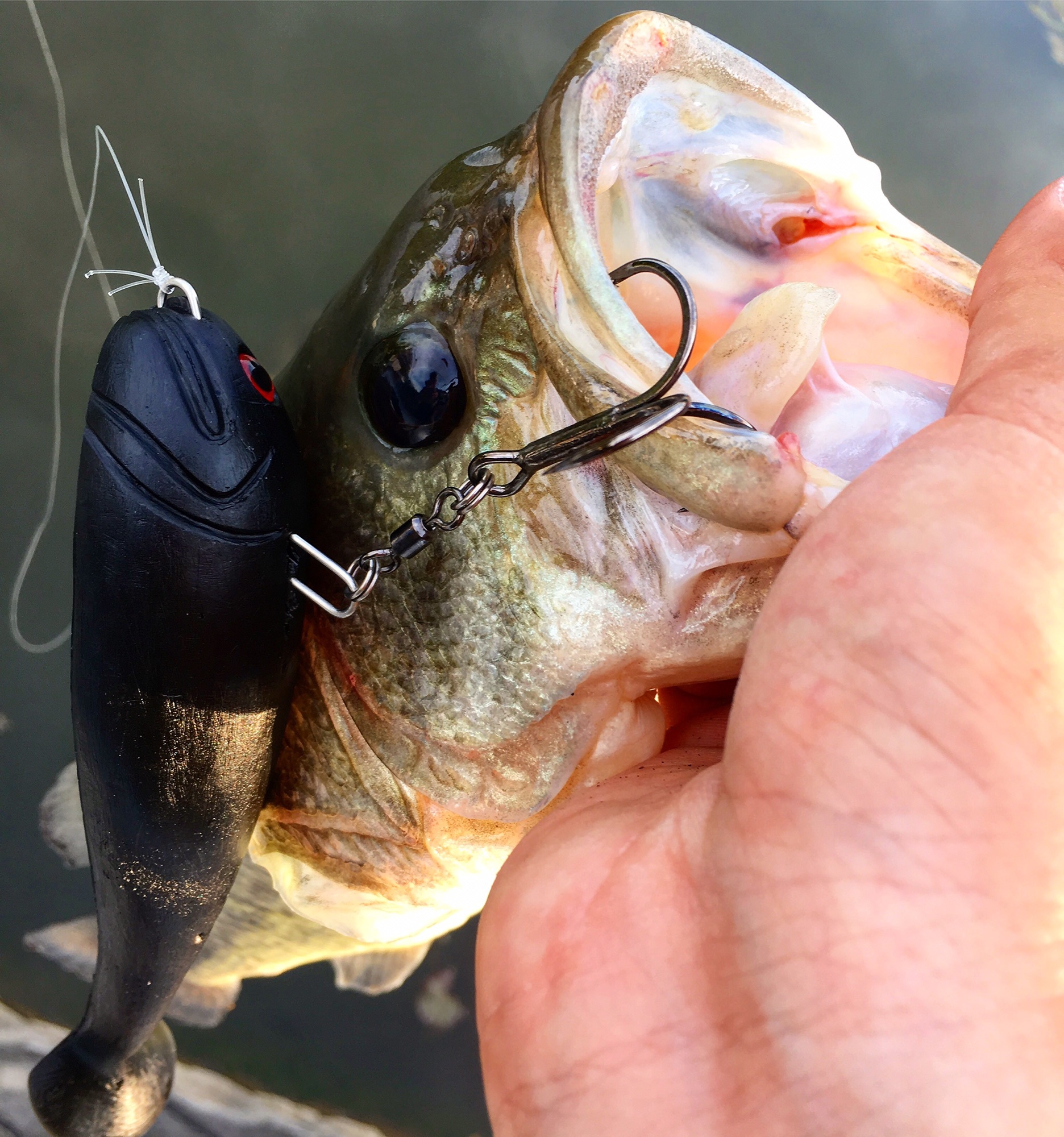 lure-shop-bb_hbdeadslow