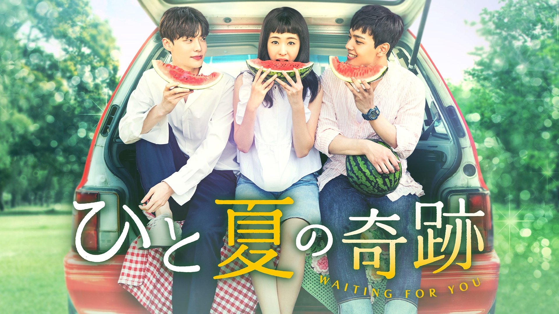 ひと夏の奇跡～waiting for you DVD-BOX1 ヨ・ジング - DVD