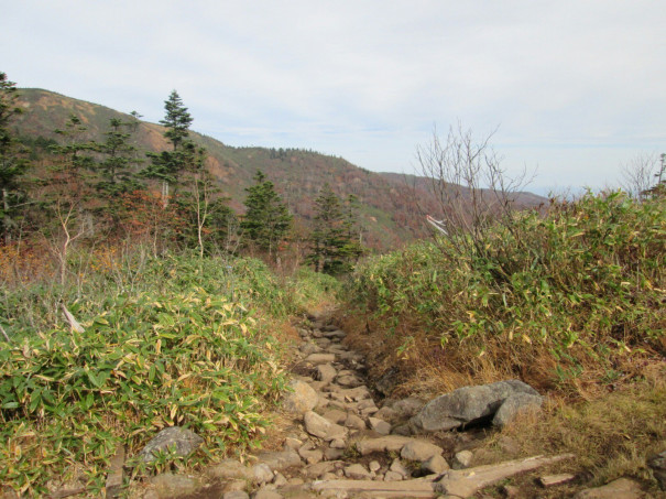 苗場山 なえばさん こんな素晴らしい日本百名山を日帰りで登山 日帰り登山 日帰りハイキング 金曜の夜から日曜の昼までは山に行くチャンス 日帰り登山 奥多摩 奥秩父 丹沢 登山 日帰りハイキング 日本百名山 キャンプ オートサイト 温泉 山コ