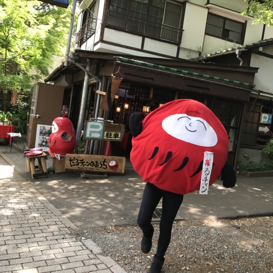 深大寺入口の「だるチャンのおうち」に戻ります！ | 調布深大寺だるチャン