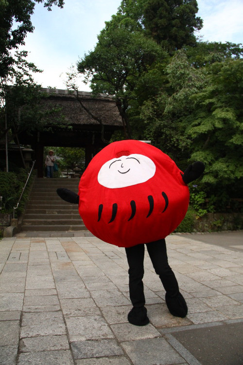 だるチャンプロフィール | 調布深大寺だるチャン