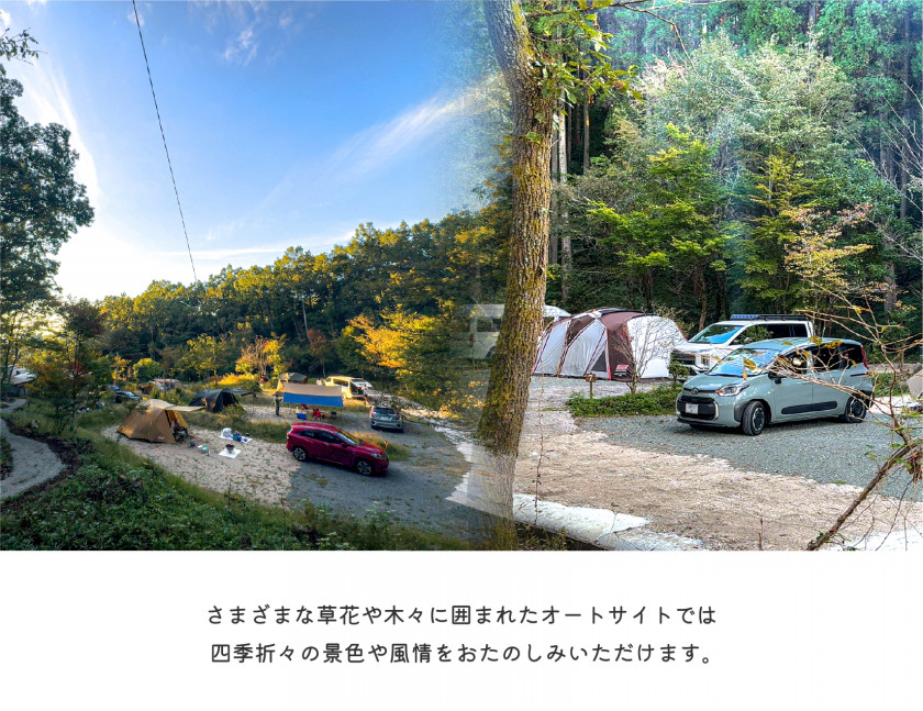 キャンプ場風景