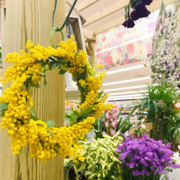 春のミモザ 周南市のかわいいお花屋さん フラワーくまげ 下松市 フラワーショップさくら