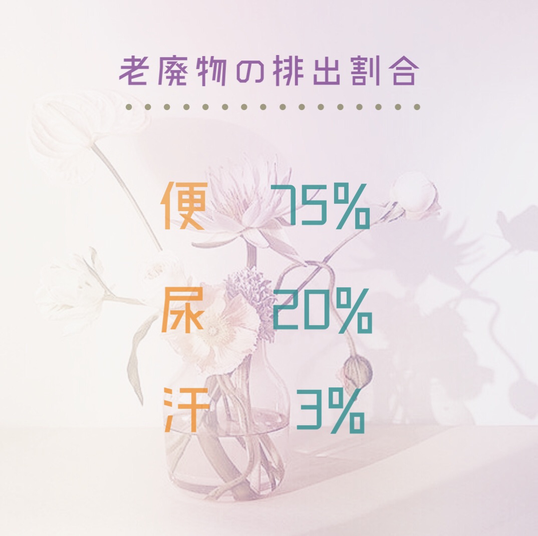 老廃物のあれこれ ˊᵕˋ Jamu Cuti ﾟｼﾞｬﾑｩﾁｭｯﾃｨ