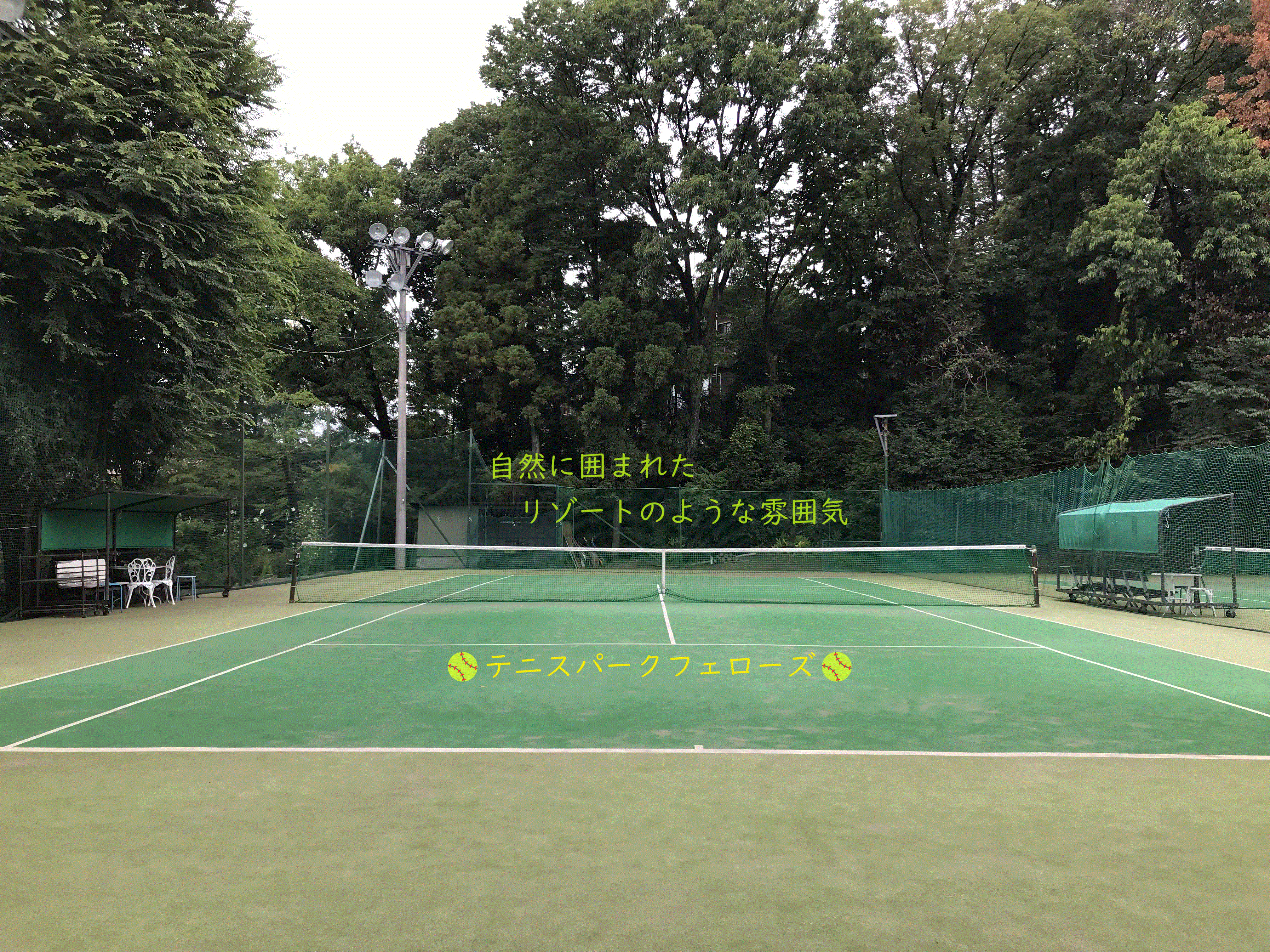 テニスパークフェロウズの外観