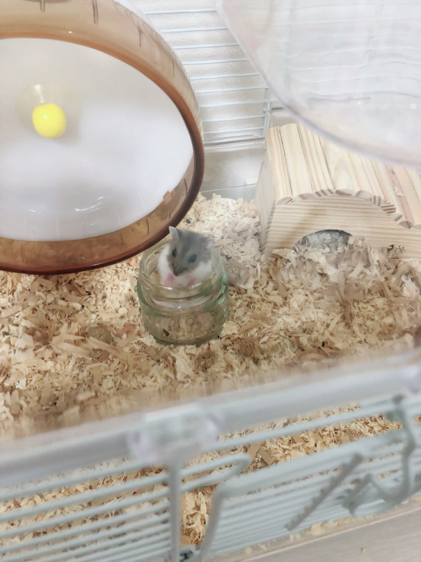実は 女の子と暮らしています S ㅇㅁㅇ エッ 今日の1頁 実は 女の子と暮らしています S ㅇㅁㅇ エッ 今日の1頁