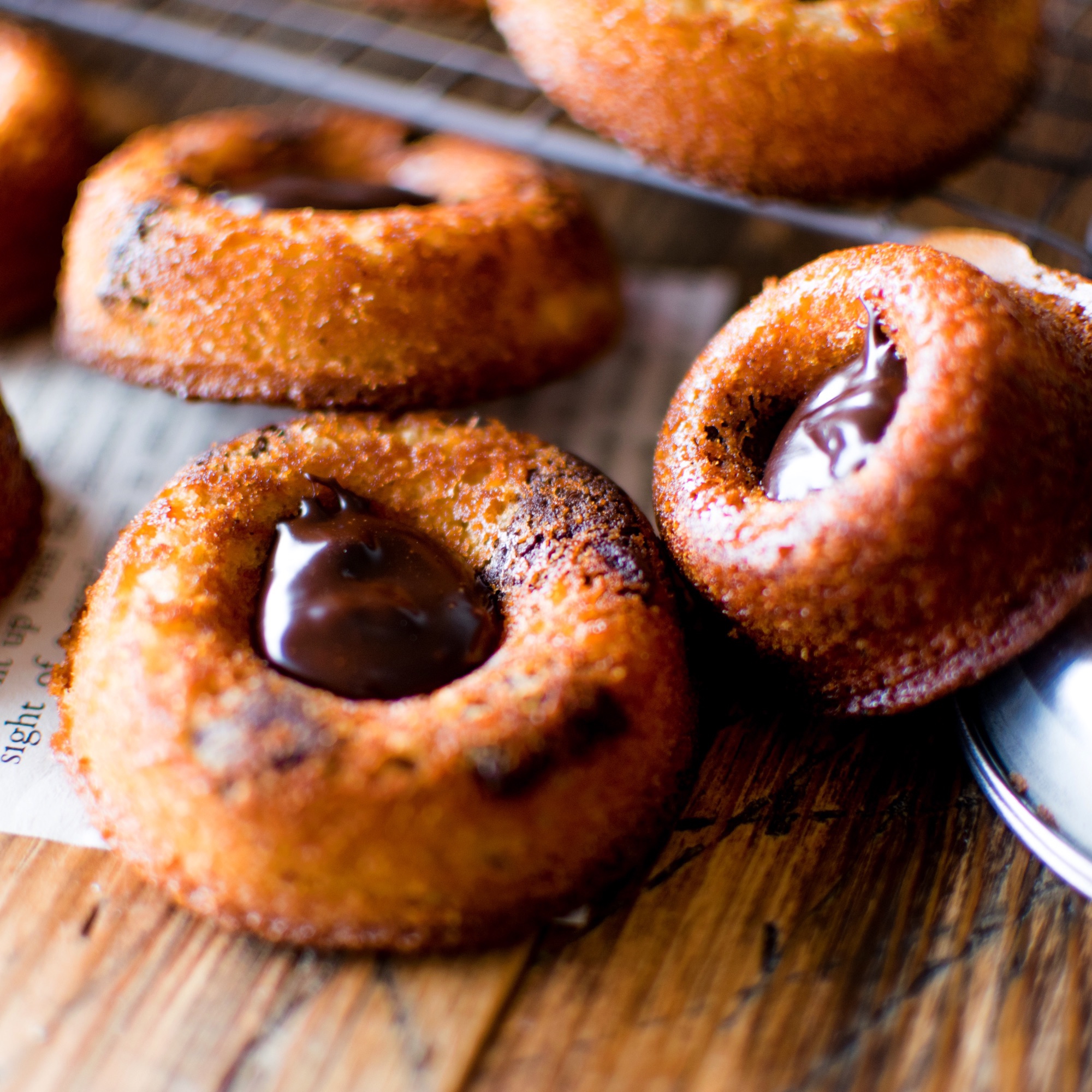 ティグレは私の定番 sazanami