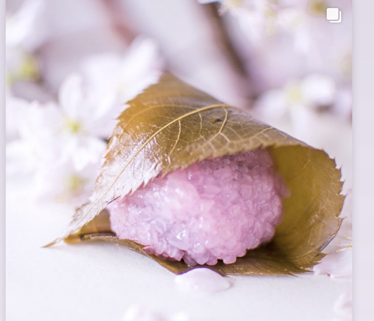 桜餅 | sazanami