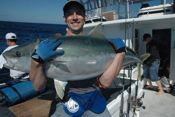 MC Works' SB 548SS ~BLUE | Proshopfishing's Blog
