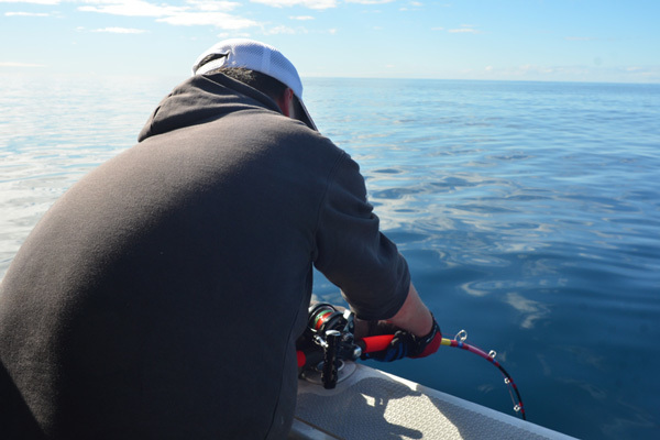 Mc Works' SB 535SS AKABARA SPECIAL custom | Proshopfishing's