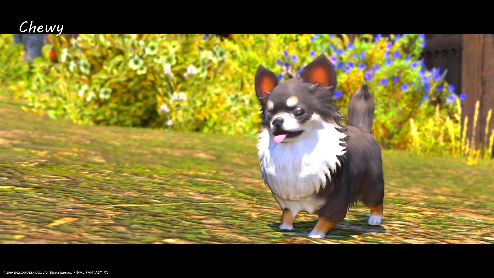 チワワン＜Chewy＞ Minion Melodies