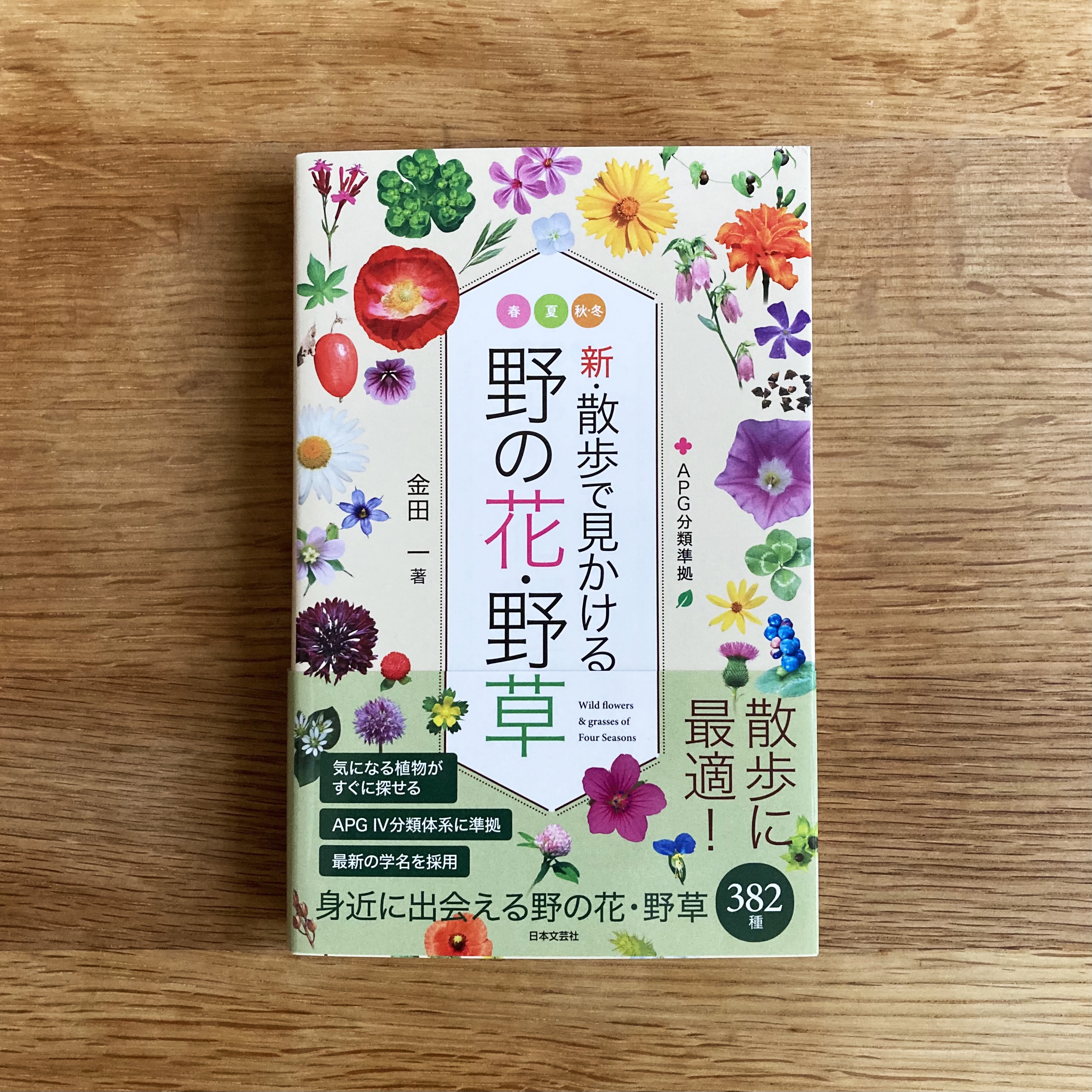 新・散歩で見かける 野の花・野草 | michiko nishida design