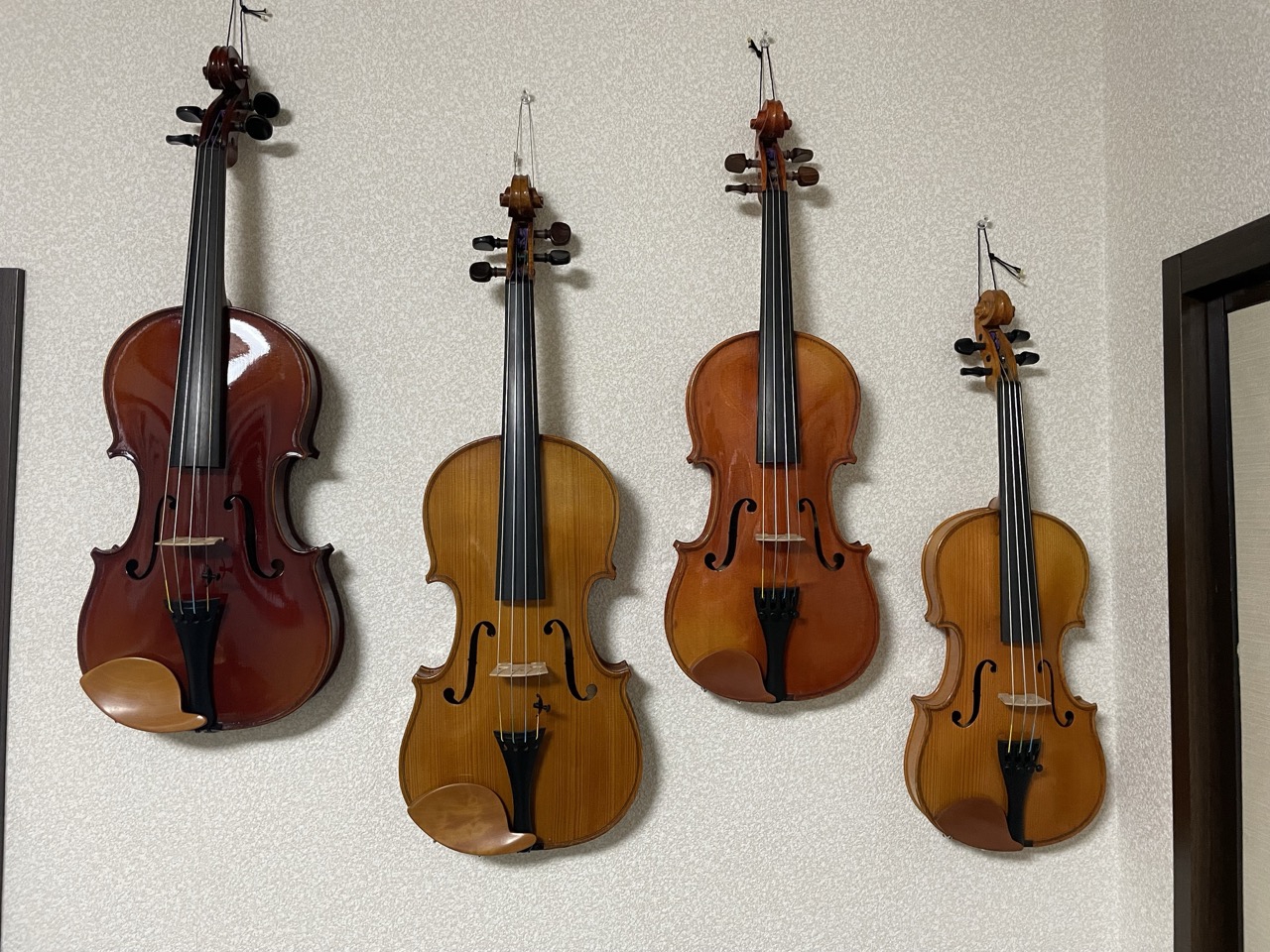 弦楽器 43-zoo 弦楽器 43-zoo 弦楽器 43-zoo VTech® Zoo Jamz Tiger Rock