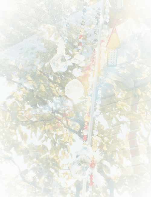 * Ray CIRCLE *･ﾟ .* .* 自由～に… の～んびり* *･ﾟ*･ﾟ