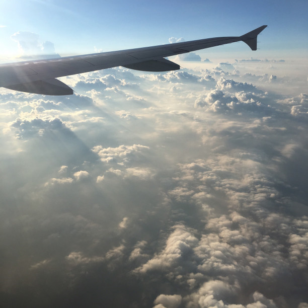 飛行機から見る景色は綺麗だなあ 食べ五郎丸