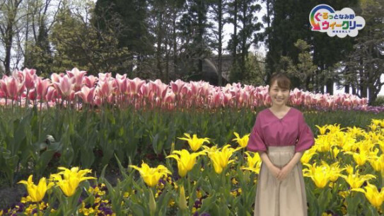 メッセージソング歌唱 Balloon Artist Mio