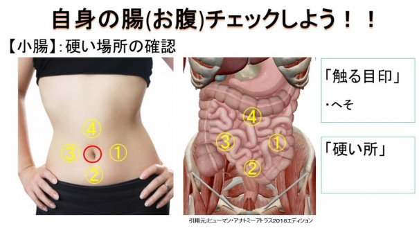 腸活ケア講座便秘解消編の復習動画 カラダの授業