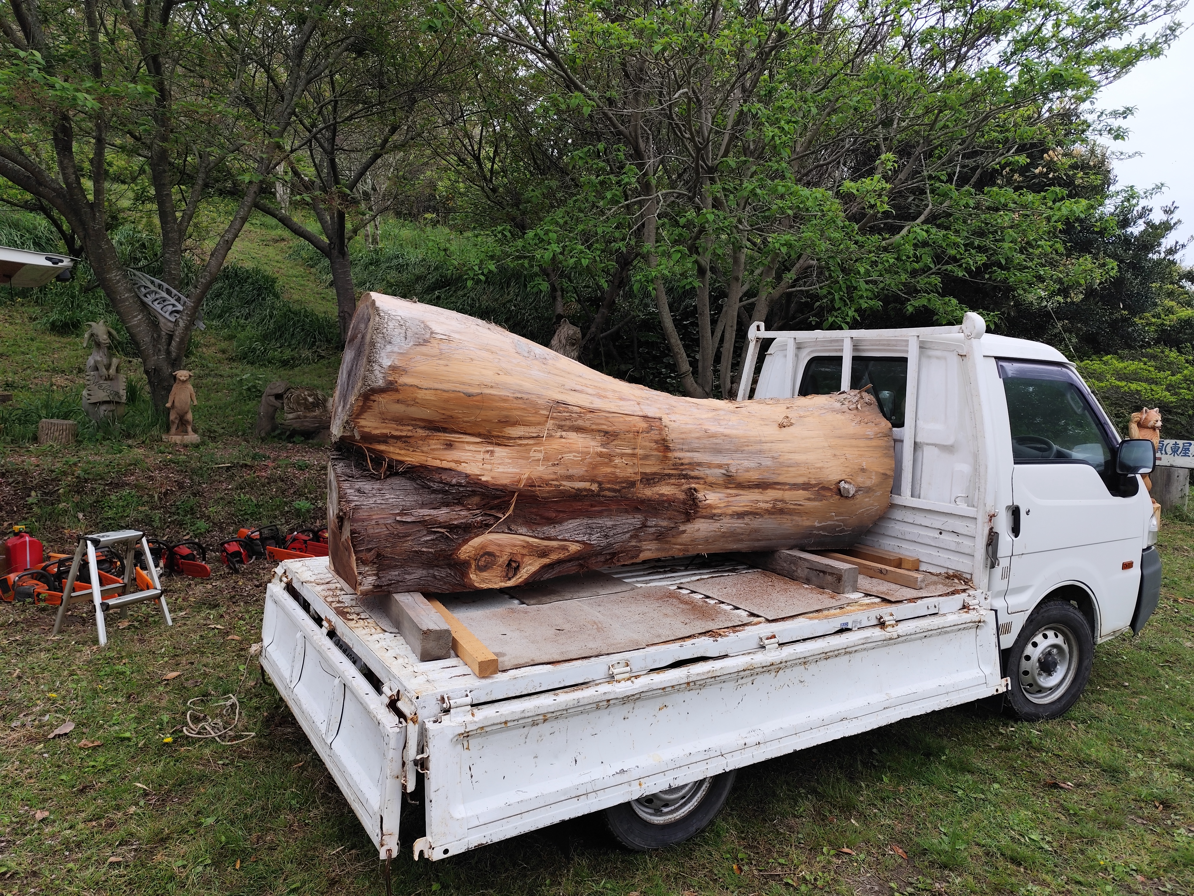Chainsaw Carving TAKA