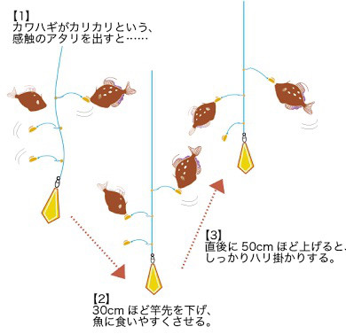 17秋からのカワハギ ヒラメ釣り備忘録 乾 雅人 テレビの仕事 食の事 趣味の事