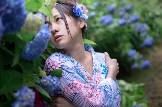 紫陽花の雨に濡れて しゅり 雅辺 S Portfolio