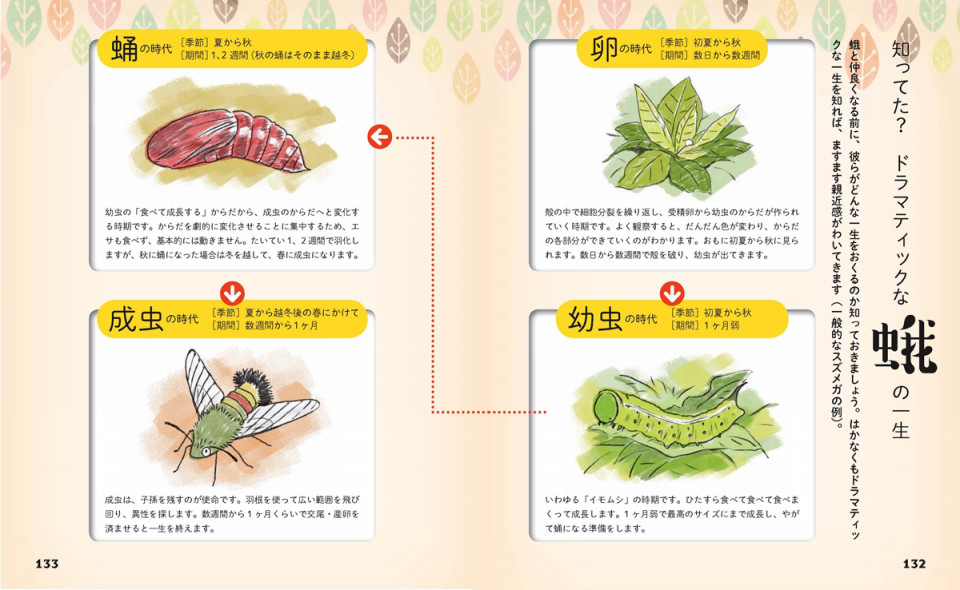 胸キュン 虫図鑑 もふもふ蛾の世界 ときめき サイエンス シリーズ ジャムハウスの書籍