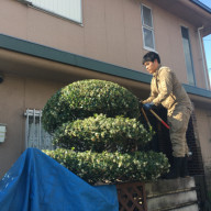 西宮市周辺の お庭 の水やり代行します 植木屋甲子園 西宮 芦屋 神戸 尼崎 宝塚 伊丹 川西の植木屋です