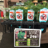 食害される前に 害虫 毛虫 の駆除 植木屋甲子園 西宮 芦屋 神戸 尼崎 宝塚 伊丹 川西の植木屋です