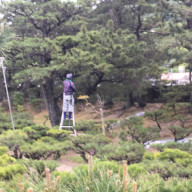 西宮市周辺の お庭 の水やり代行します 植木屋甲子園 西宮 芦屋 神戸 尼崎 宝塚 伊丹 川西の植木屋です