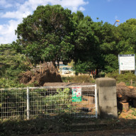 西宮市周辺の お庭 の水やり代行します 植木屋甲子園 西宮 芦屋 神戸 尼崎 宝塚 伊丹 川西の植木屋です