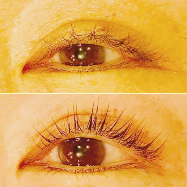 バービーラッシュリフト 初回半額 Lapark Saku