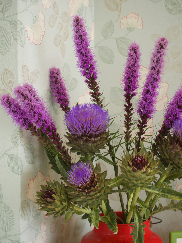 西洋アザミ Lapark Saku