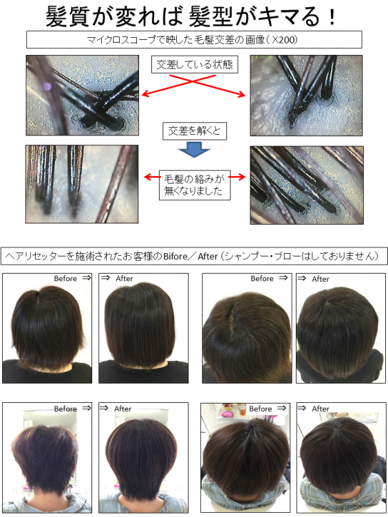 最終値下げ✨即日発送❗️ヘアリセッター - その他