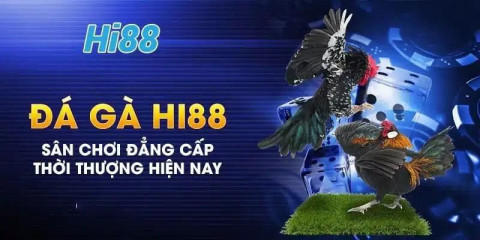 Đá gà Hi88's Ownd