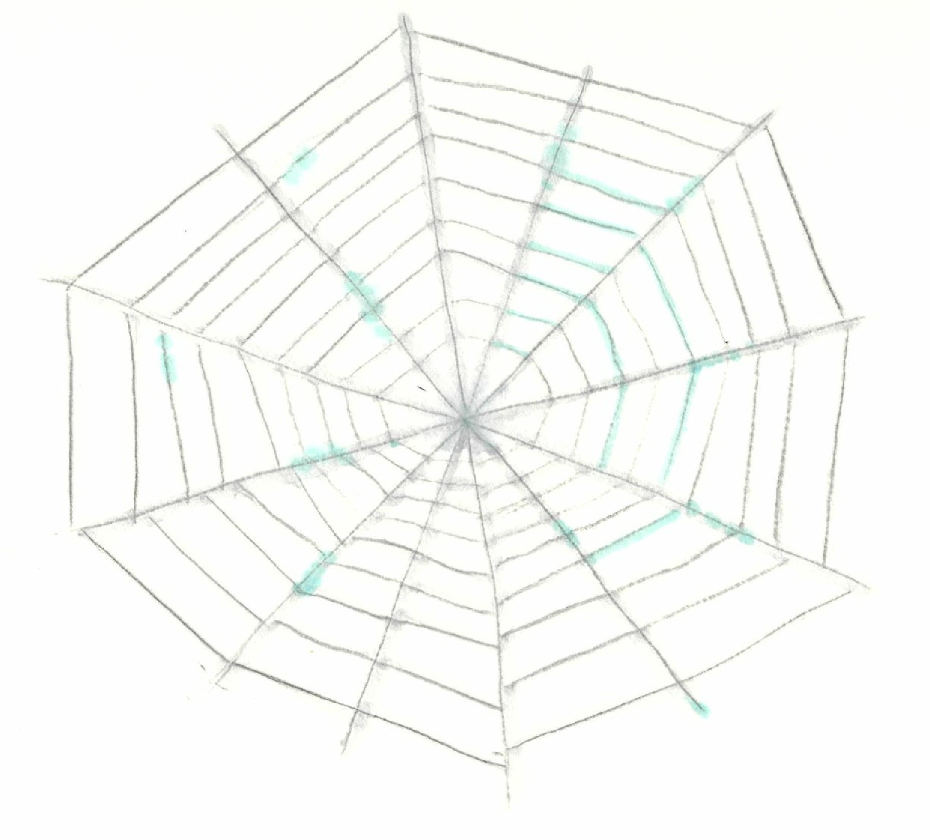 日常に潜む 構造 蜘蛛の巣 Taishin Nippon