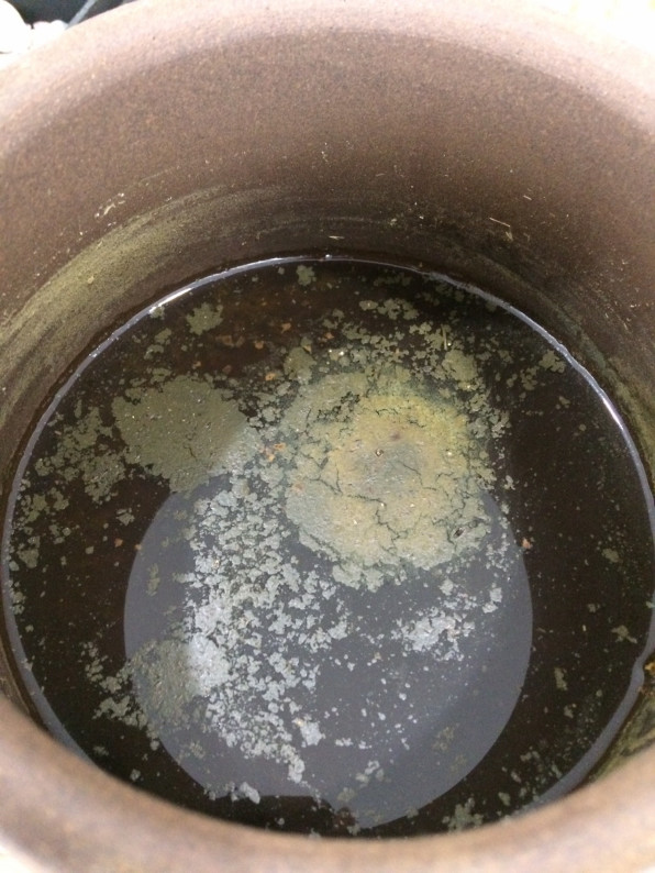 5日連続よもぎ蒸しモニターレポ N様 Serendipity