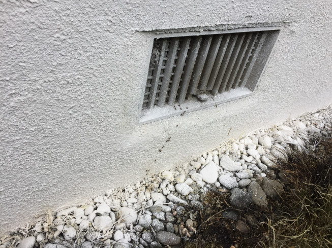 基礎周りの珪藻土石灰の忌避効果 Keisoudohotate S Ownd 基礎周りの珪藻土石灰の忌避効果 Keisoudohotate S Ownd