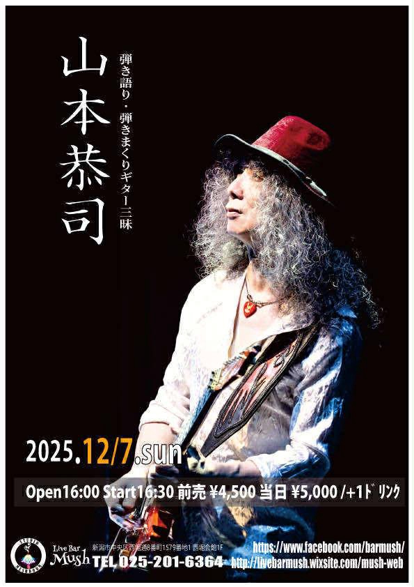 vow wow 2024 CLUB CITTA' 6/29 直筆サイン入り 色紙 vow wow 2024