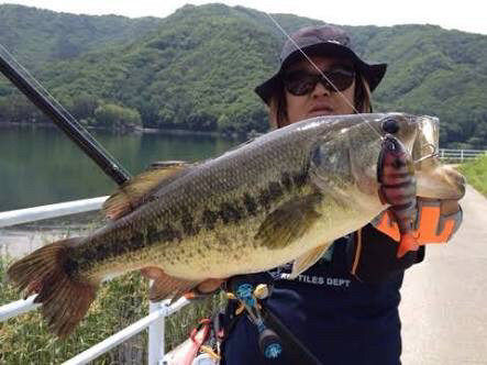 リクエストがありましたので もう一度 木崎湖 長野県を代表する釣り場なんですが Boo 店長 S ぶ てん Ownd